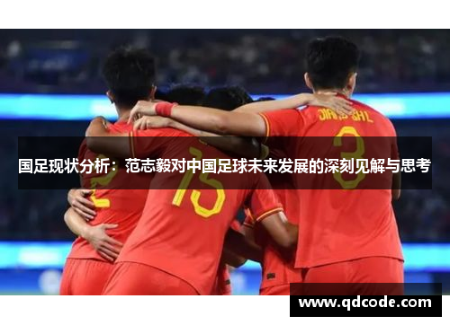 国足现状分析：范志毅对中国足球未来发展的深刻见解与思考