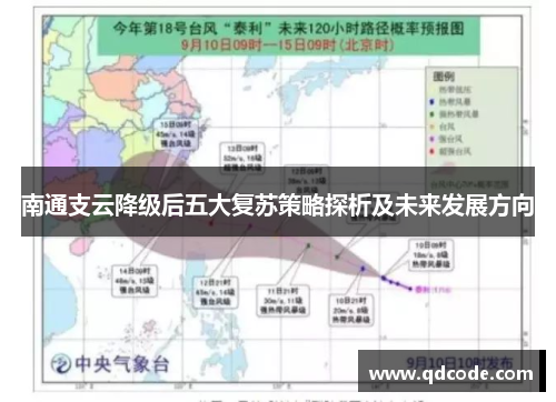 南通支云降级后五大复苏策略探析及未来发展方向