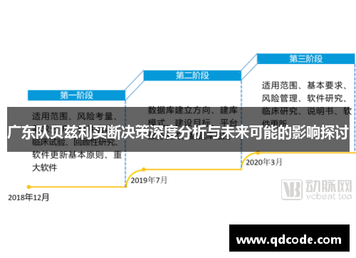 广东队贝兹利买断决策深度分析与未来可能的影响探讨