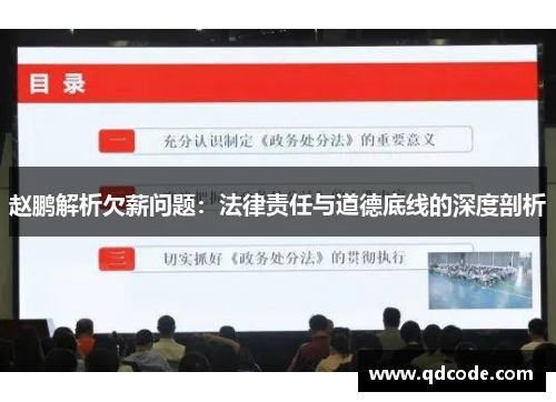 赵鹏解析欠薪问题：法律责任与道德底线的深度剖析